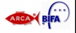Arca Bifa