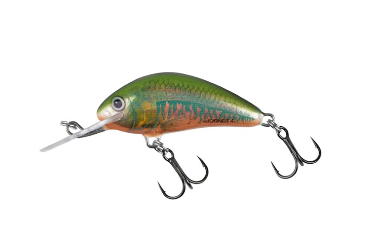 Salmo hornet shop