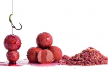 images/productimages/small/garlic-robin-red.jpg