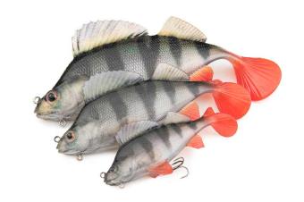 images/productimages/small/nre504-506-rage-ultra-realistic-perch-replicant-group.jpg