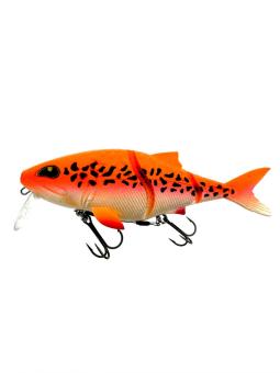 images/productimages/small/sweet-meat-albino-koi-773x1030.jpg
