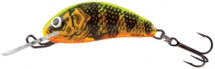 Gold Fluo Perch