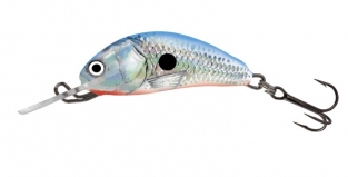 Silver Blue Shad