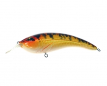 Speckled Hot Leopard