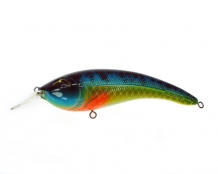 Speckled Blue Gill