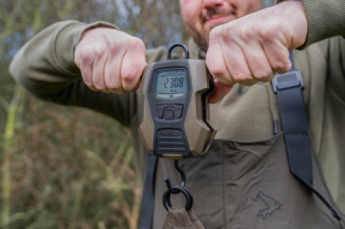 Avid Digital Scales