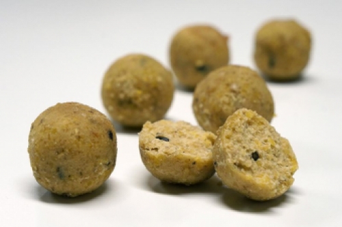 CBB HQ Baits Milky Ice Cream Readymade Boilies