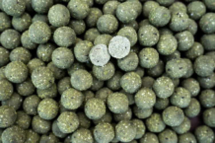 Proline NG Squid Boilies 1kg