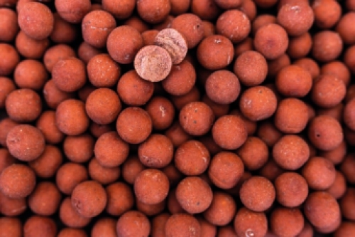 Proline Garlic & Robin Red Boilies 5kg