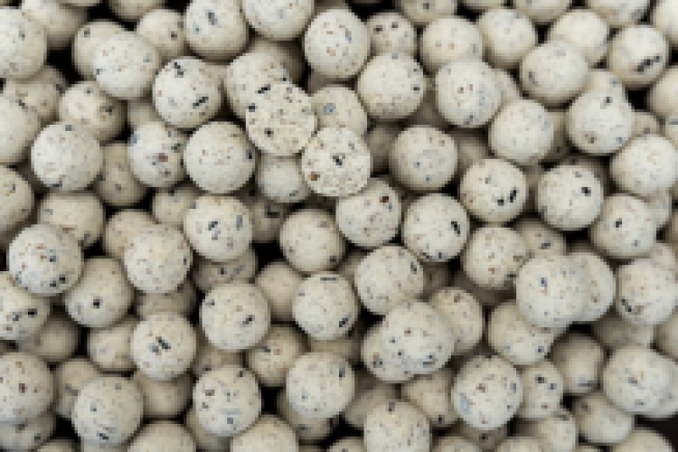 Proline Coco & Banana Boilies 5kg