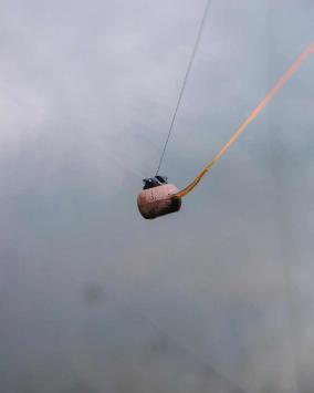 Fox Edges Captive Back Weight