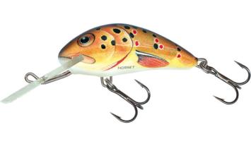 Trout