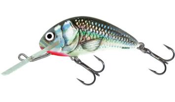 Holograpic Grey Shiner