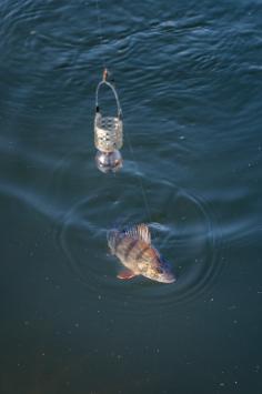 Korum Slow Sinking Feeder