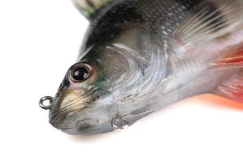 Fox Rage Ultra-Realistic Perch Replicant 18cm/100gr