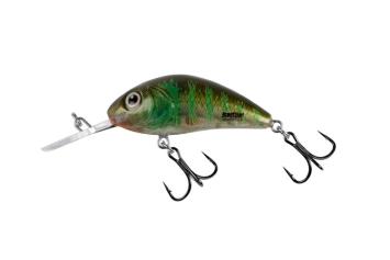 Green Gill Clear