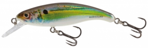 Real Holographic Shad
