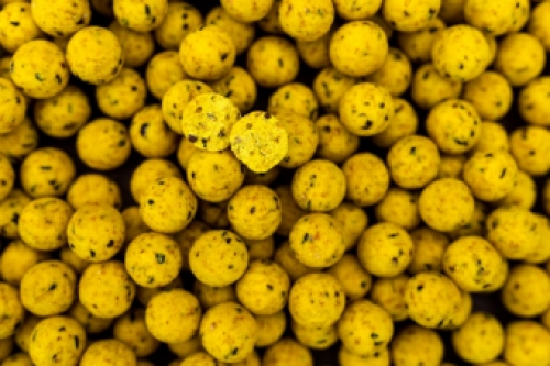 Proline Scopex Boilies 1kg